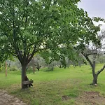 Apartma Vista Baredi * Izola