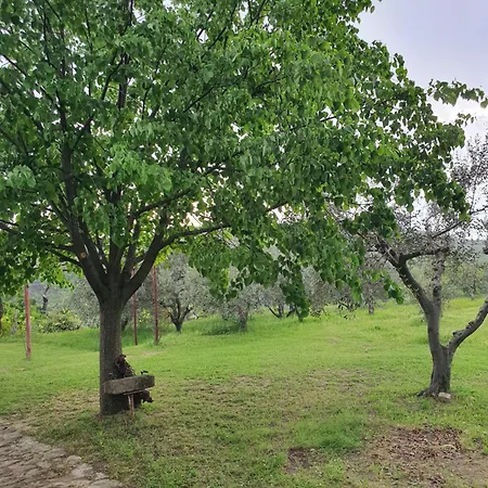 Apartma Vista Baredi * Изола