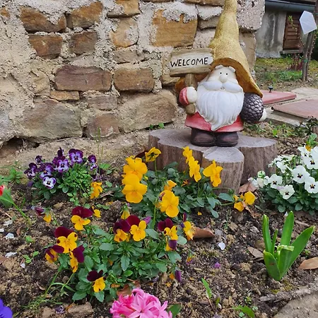 Apartma Apartma Vista Baredi