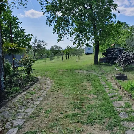 Apartma Vista Baredi איזולה