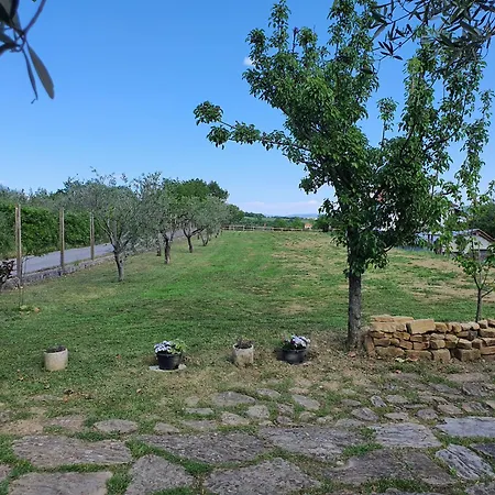 Apartma Vista Baredi Изола