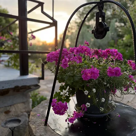Apartma Vista Baredi * Izola