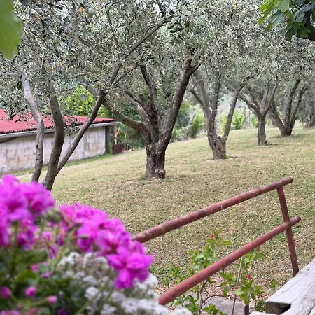 Appartement Apartma Vista Baredi Izola