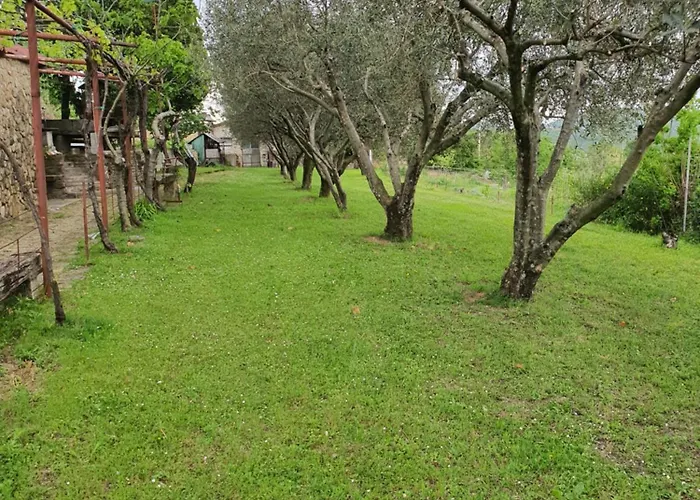 Apartma Vista Baredi Daire Izola