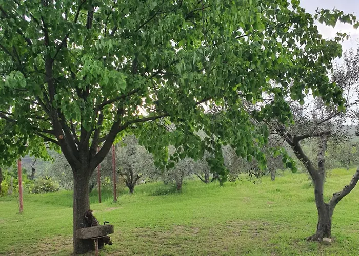 Apartma Vista Baredi * Izola